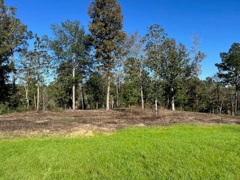 Photo of 26 Addison Rd, Livingston, TX 77351 (MLS # 13238779)
