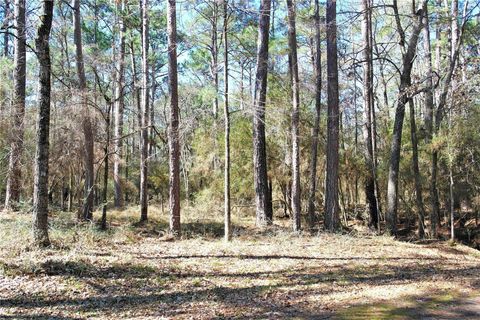 Vacant Land For Sale - 3 Magnolia Court<br/> Trinity, TX 75862