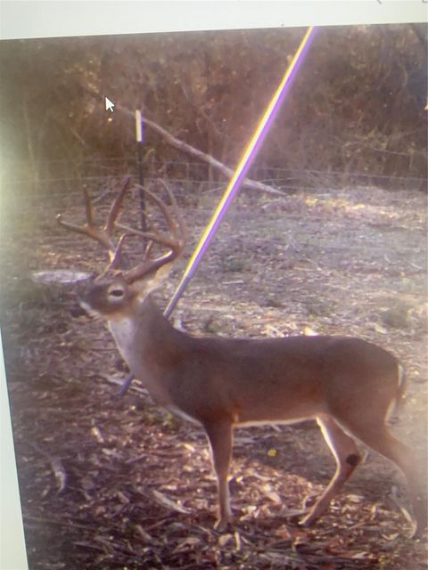 Vacant Land For Sale - Pr 3420<br/> Jewett, TX 75846