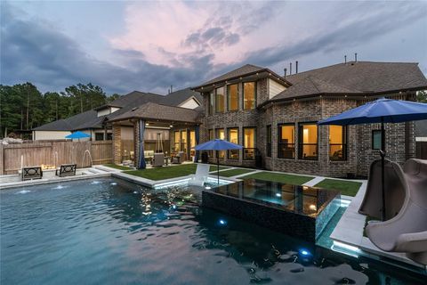 Photo of 271 Bronze View Drive, Montgomery, TX 77316 (MLS # 32397372)