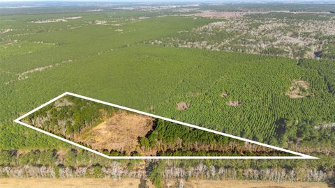 Photo of 1495 County Road 2200, Cleveland, TX 77327 (MLS # 41886053)