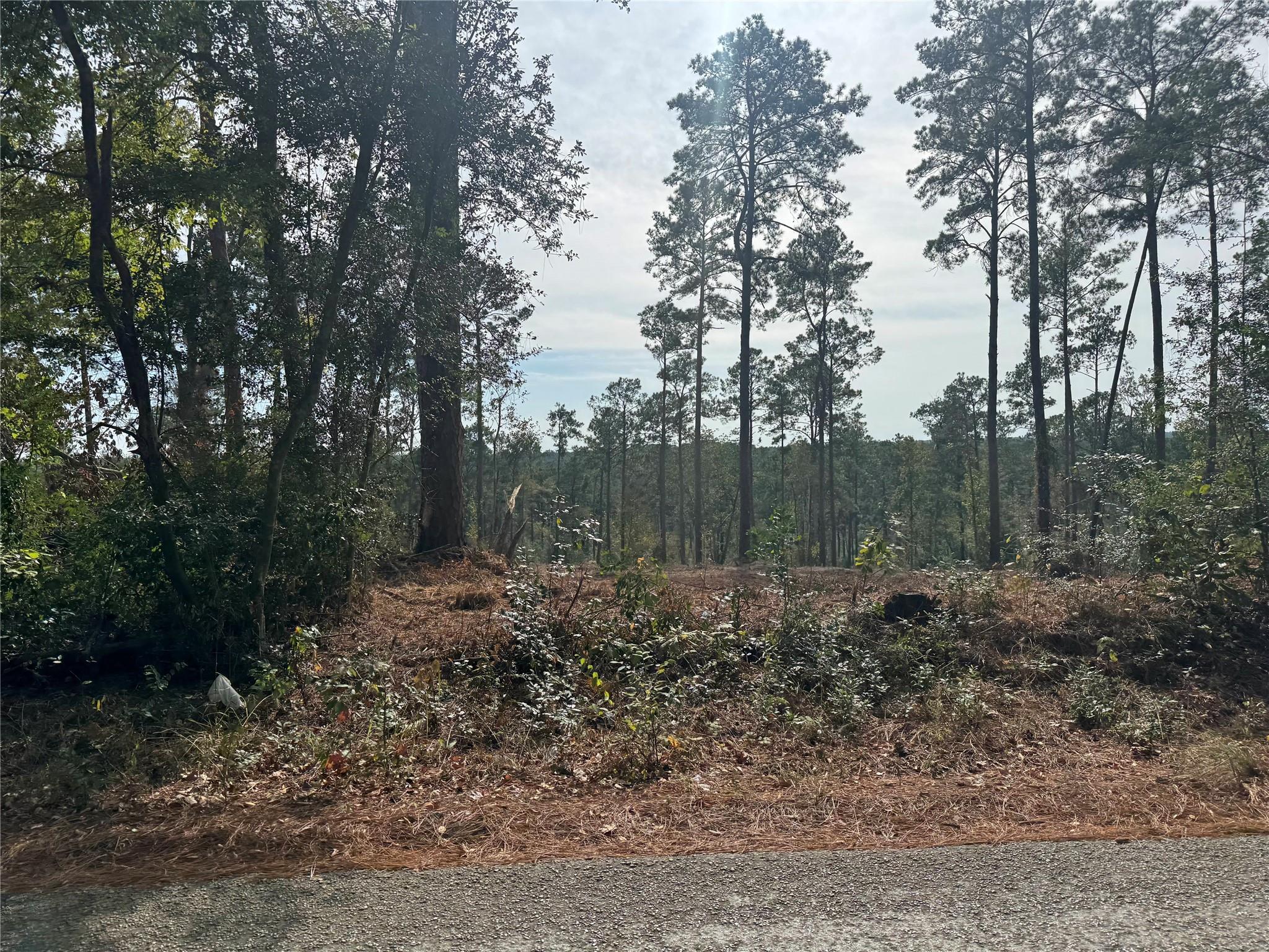 PID19831 County Road 219
