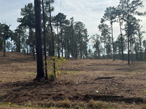 Photo of 19831 County Road 219, Brookeland, TX 75931 (MLS # 24569683)