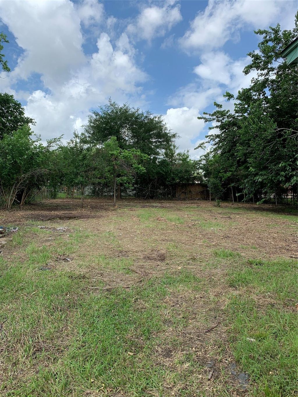 Photo of 4307 Wayne Street, Houston, TX 77026 (MLS # 18966751)