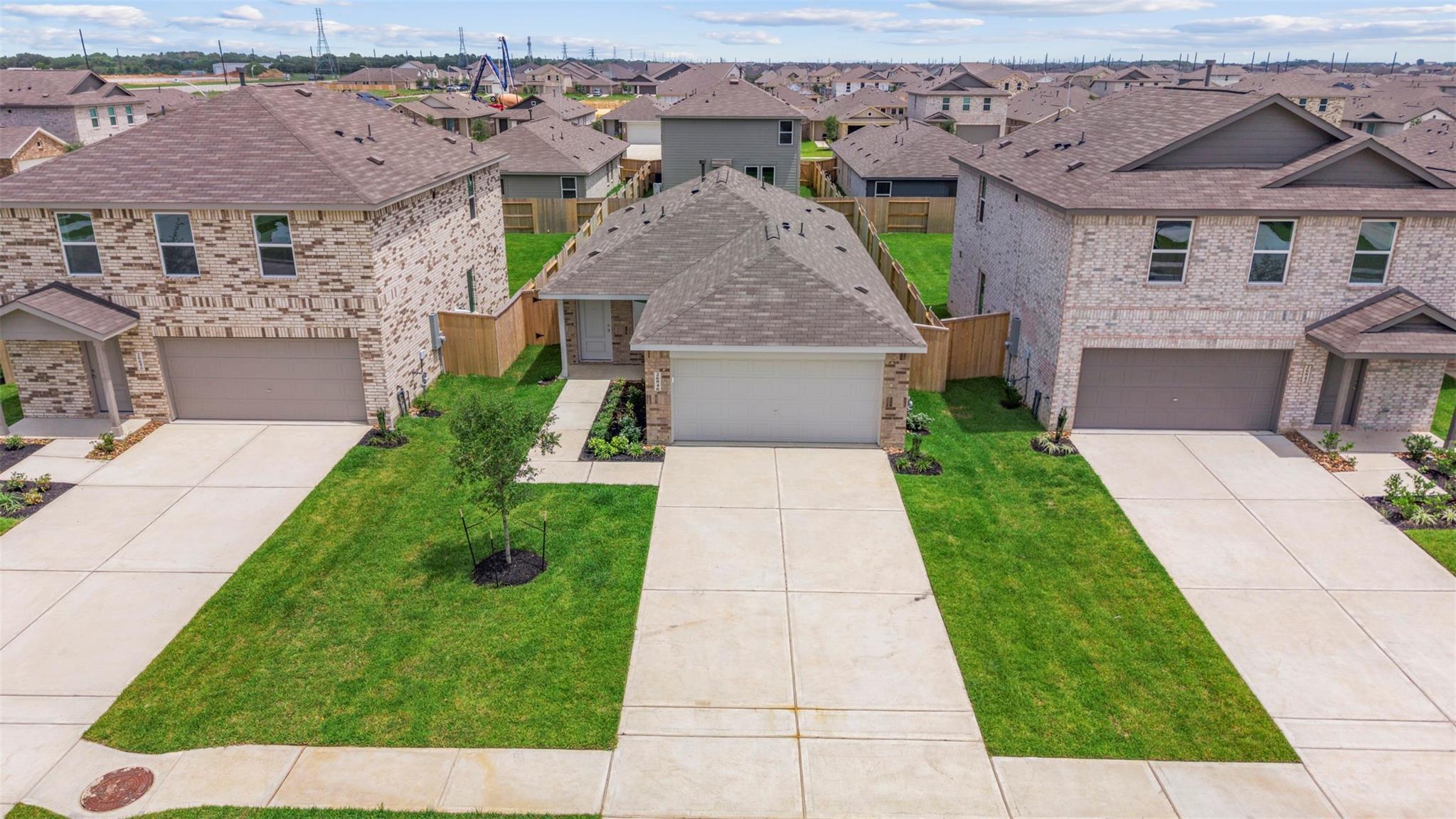 26846 Vanilla Pearls Lane