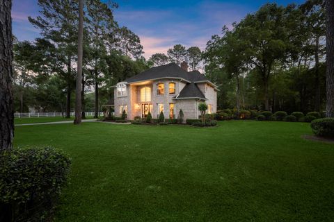 Photo of 9913 Kleppel Road, Tomball, TX 77375 (MLS # 49530460)