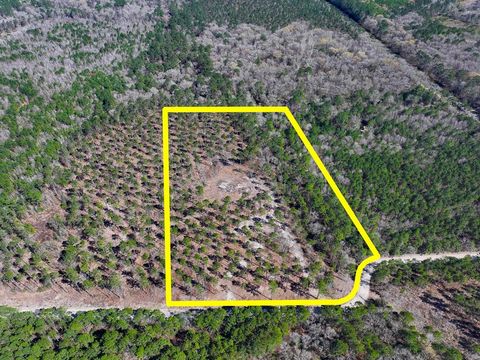 Vacant Land For Sale - 2 Boontown Road<br/> Trinity County, Trinity, TX 75845