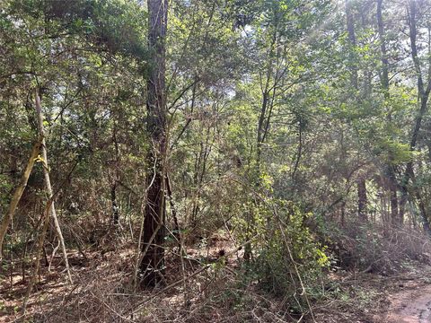 Photo of 28 Sycamore Lane, Plantersville, TX 77363 (MLS # 91614385)