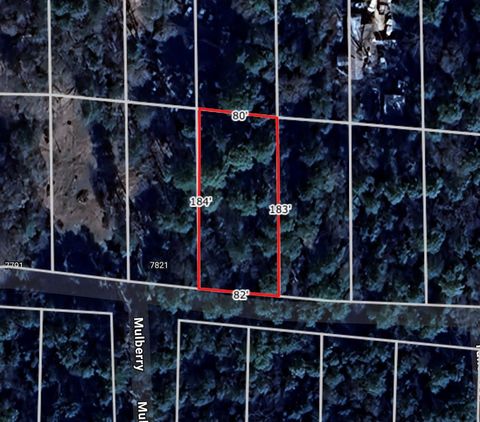 Vacant Land For Sale - LOT 28 Sycamore Lane<br/> Plantersville, TX 77363