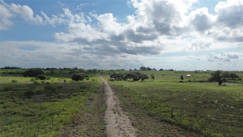 Photo of TBD County Road 256, Moulton, TX 77975 (MLS # 35440249)