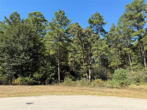 Photo of 44 Larkspur Lane, New Waverly, TX 77358 (MLS # 96467738)