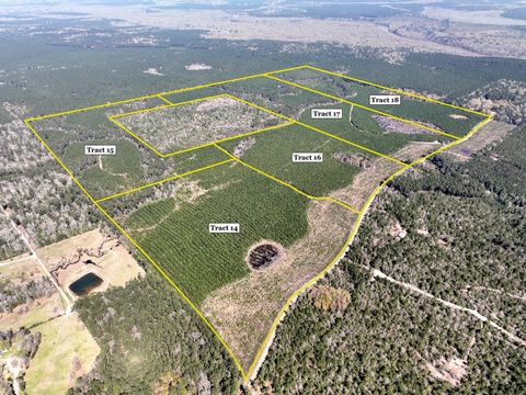 Vacant Land For Sale - 00000 County Rd 4415<br/> Spurger, TX 77660