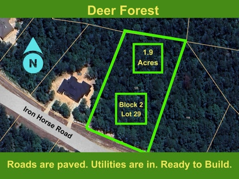 Vacant Land For Sale - 126 Iron Horse Road<br/> Walker County, Willis, TX 77378