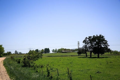 Vacant Land For Sale - TBD Caney Creek Rd<br/> Chappell Hill, TX 77426