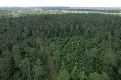 Vacant Land For Sale - 0000 Cr 4020<br/> Houston County, Crockett, TX 75835