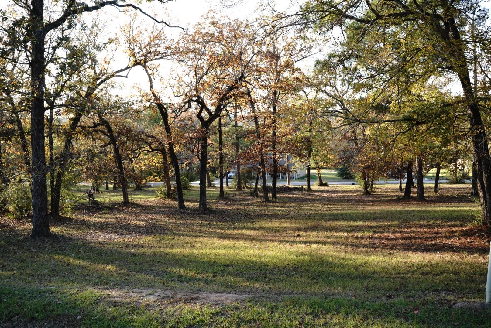 26 Hillsborough Drive