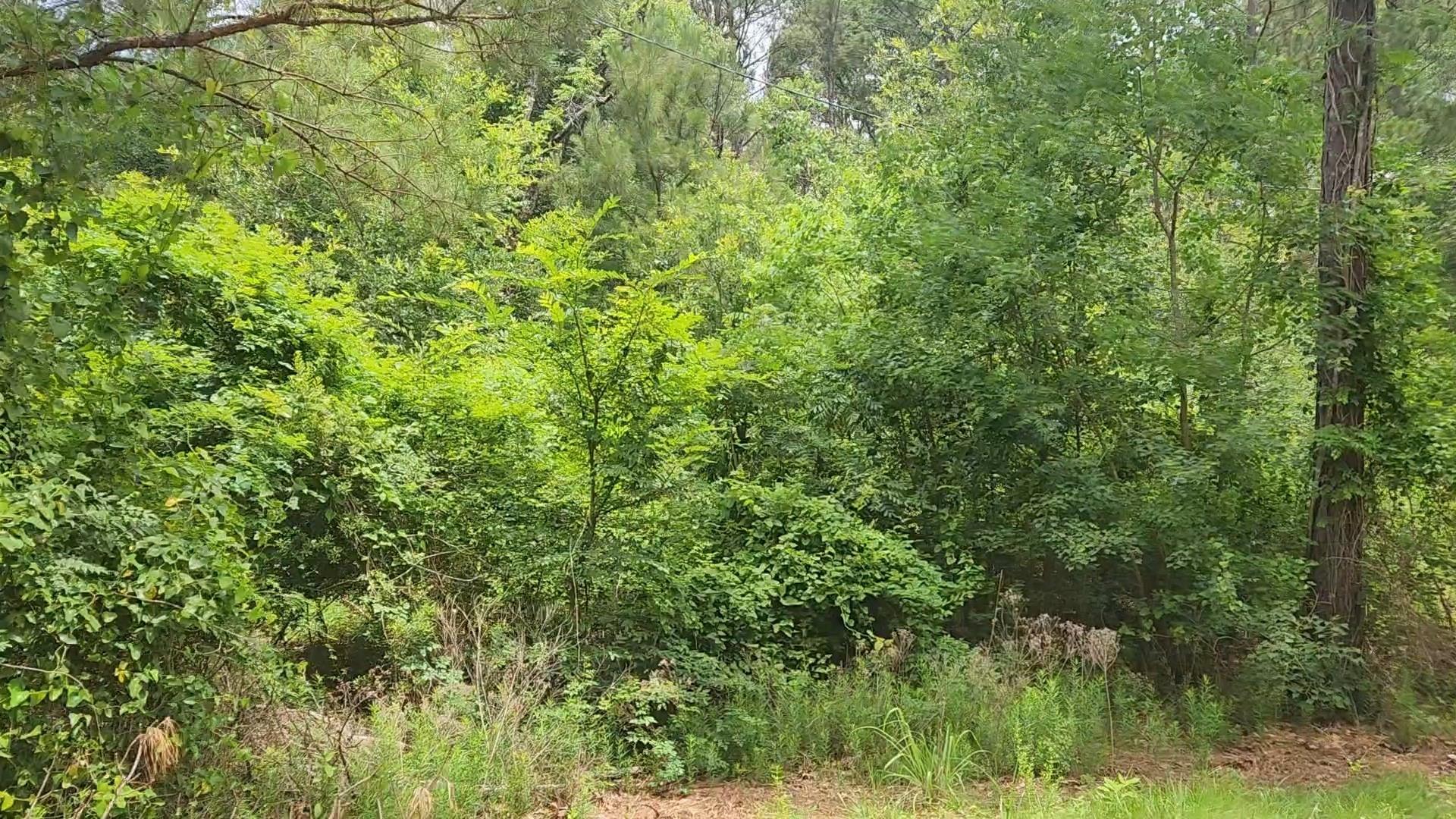 Lot 14 Basswood Lane