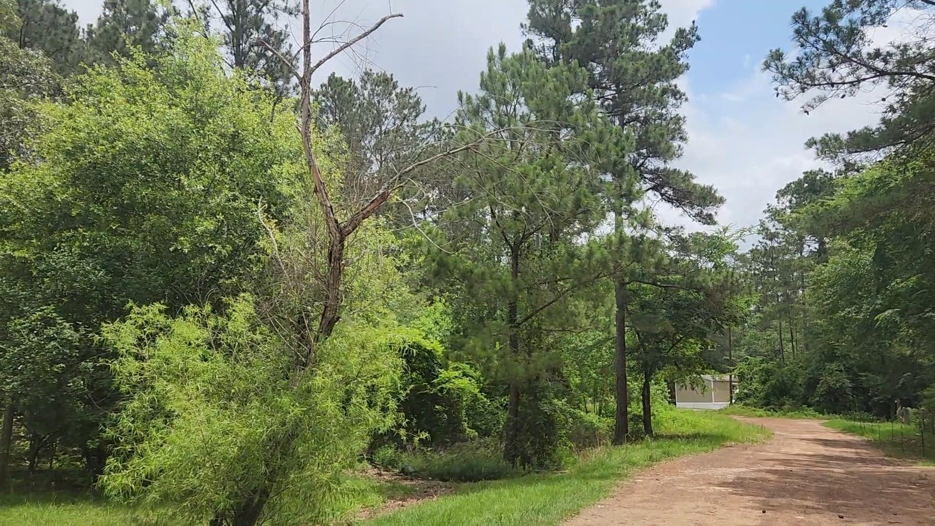 Lot 14 Basswood Lane
