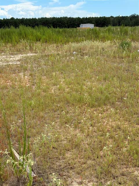 Vacant Land For Sale - 826 Road 591703<br/> Liberty County, Cleveland, TX 77327
