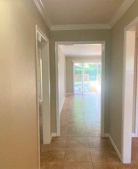 1853 Dolphin Drive