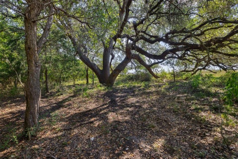 Photo of TBD Roznov Road, Fayetteville, TX 78940 (MLS # 91409342)