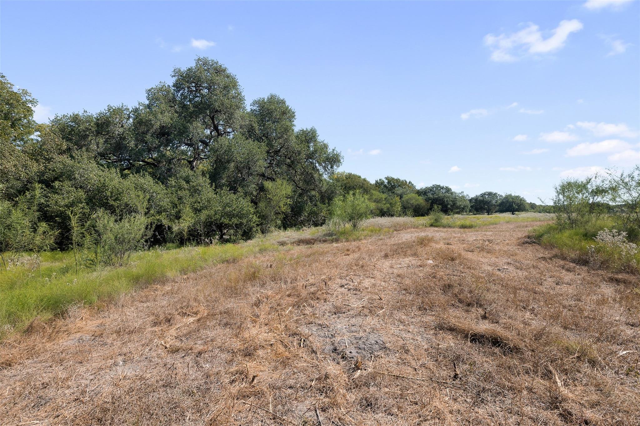 TBD Roznov Road