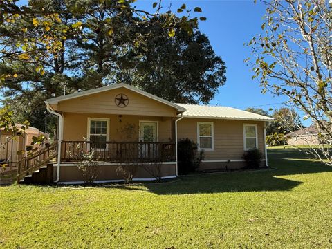 Photo of 211 N Frances Avenue, Shepherd, TX 77371 (MLS # 97311259)
