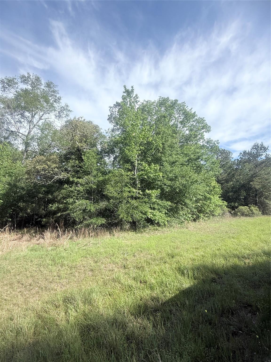 21203 Grant Lake Circle