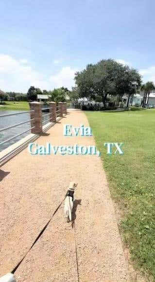 Tiny photo for 38 Island Passage PSGE, Galveston, TX 77554 (MLS # 7222729)