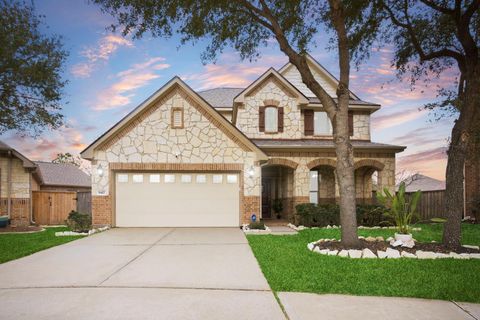 9427 Hawks Harbor Court Katy TX 77494