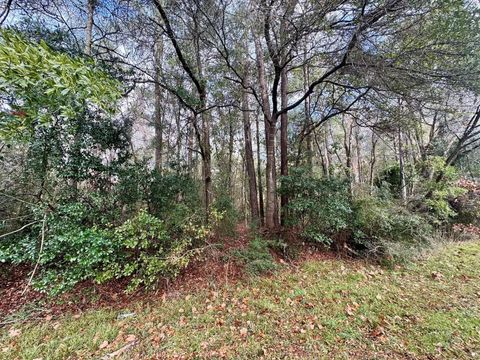 Vacant Land For Sale - TBD Fm 92<br/> Tyler County, Woodville, TX 75979
