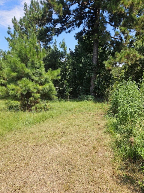 Vacant Land For Sale - 207 County Road 2210<br/> Cleveland, TX 77327