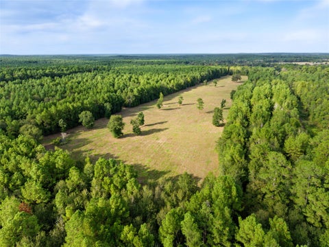 Photo of 0 Fm 980, Huntsville, TX 77320 (MLS # 77549362)