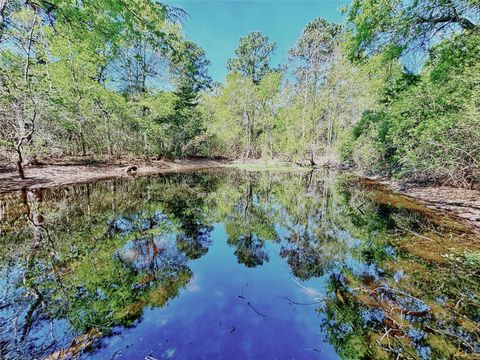 Vacant Land For Sale - 000 Cr 3495<br/> Houston County, Lovelady, TX 75851