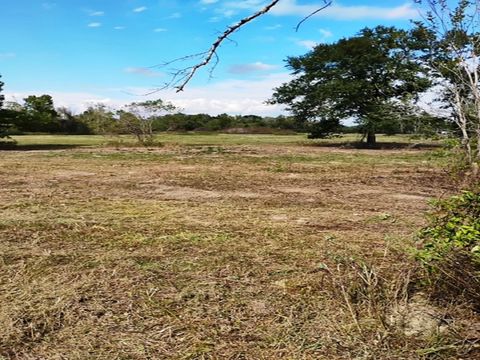 3607 12th Street Brookshire TX 77423