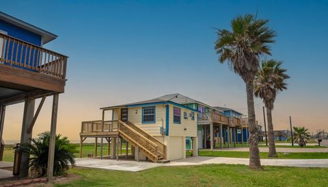 Photo of 1158 County Road 230, Sargent, TX 77414 (MLS # 66964769)