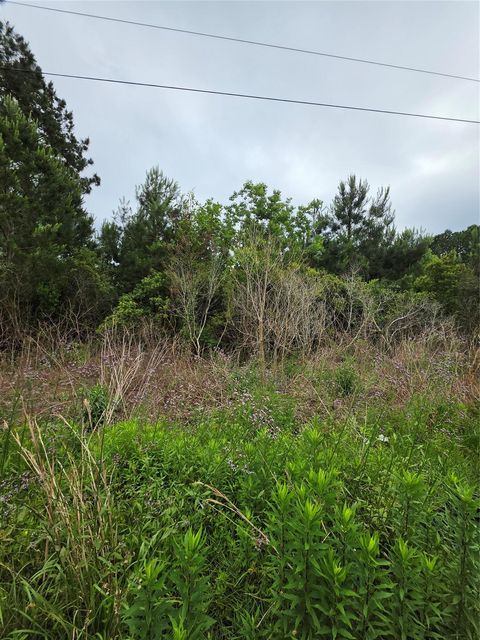 Vacant Land For Sale - 2777 County Road 3479b<br/> Liberty County, Cleveland, TX 77327