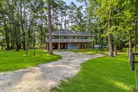 Photo of 230 Governor Bell Drive, Point Blank, TX 77364 (MLS # 72964125)
