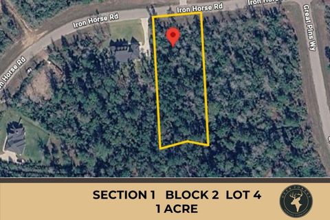 Vacant Land For Sale - 284 Iron Horse Road<br/> New Waverly, TX 77358
