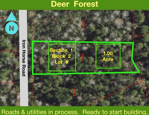 Vacant Land For Sale - 284 Iron Horse Road<br/> New Waverly, TX 77358