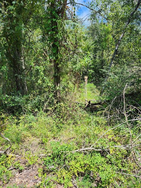 Vacant Land For Sale - 114 Brazil Boulevard<br/> Walker County, Huntsville, TX 77320