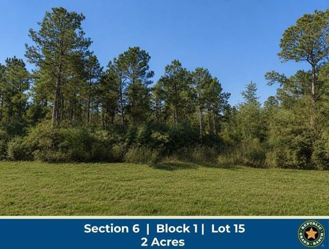 Photo of 11706 Grand North Road, Willis, TX 77378 (MLS # 75384034)