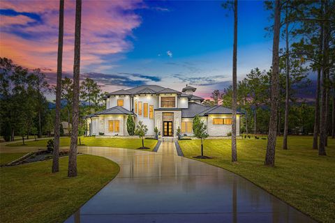 29011 Village Bend Magnolia TX 77355