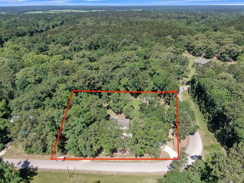 Photo of 161 Lake Road, Coldspring, TX 77331 (MLS # 24763744)