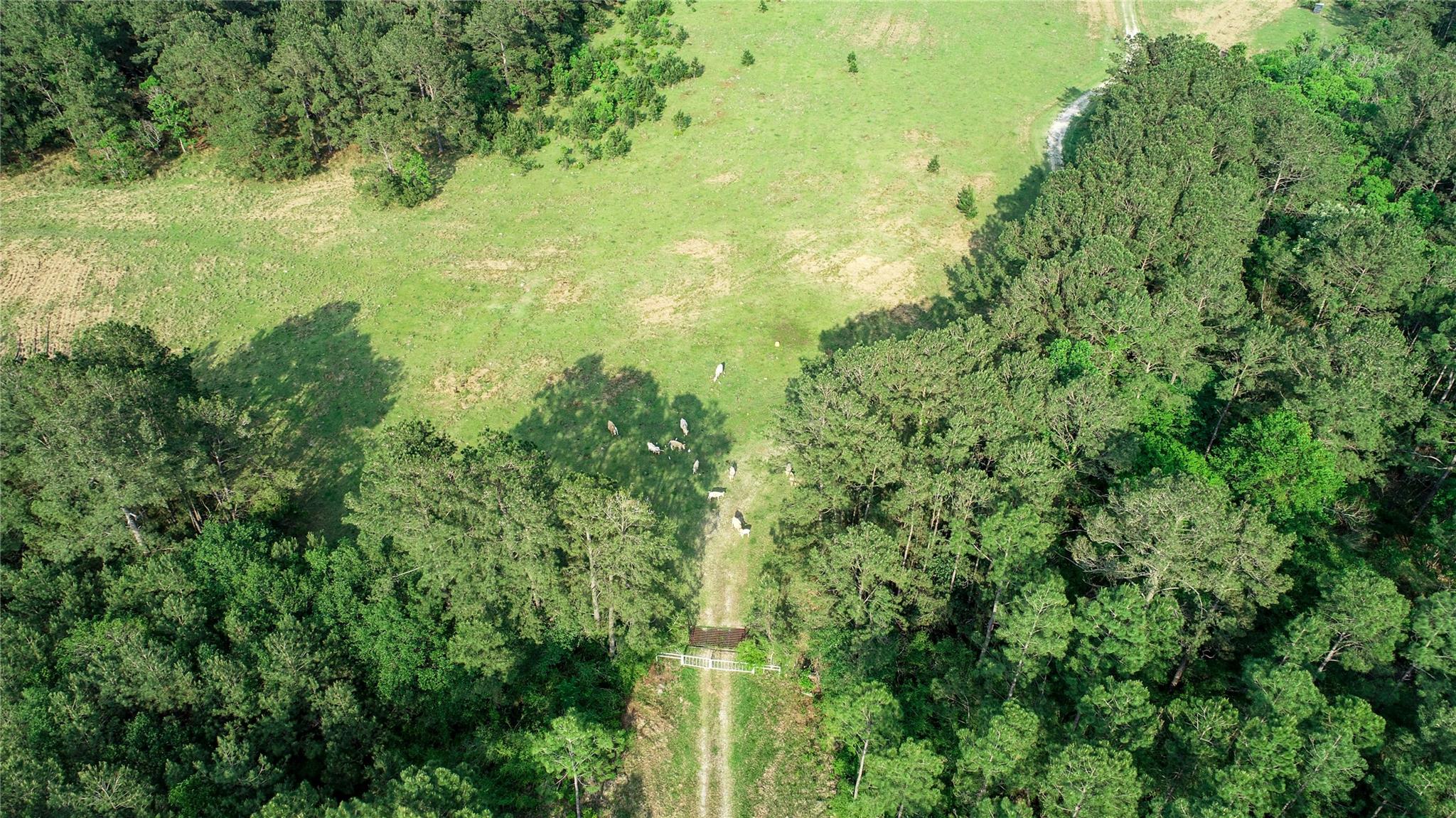 0000 Old Beaumont Road