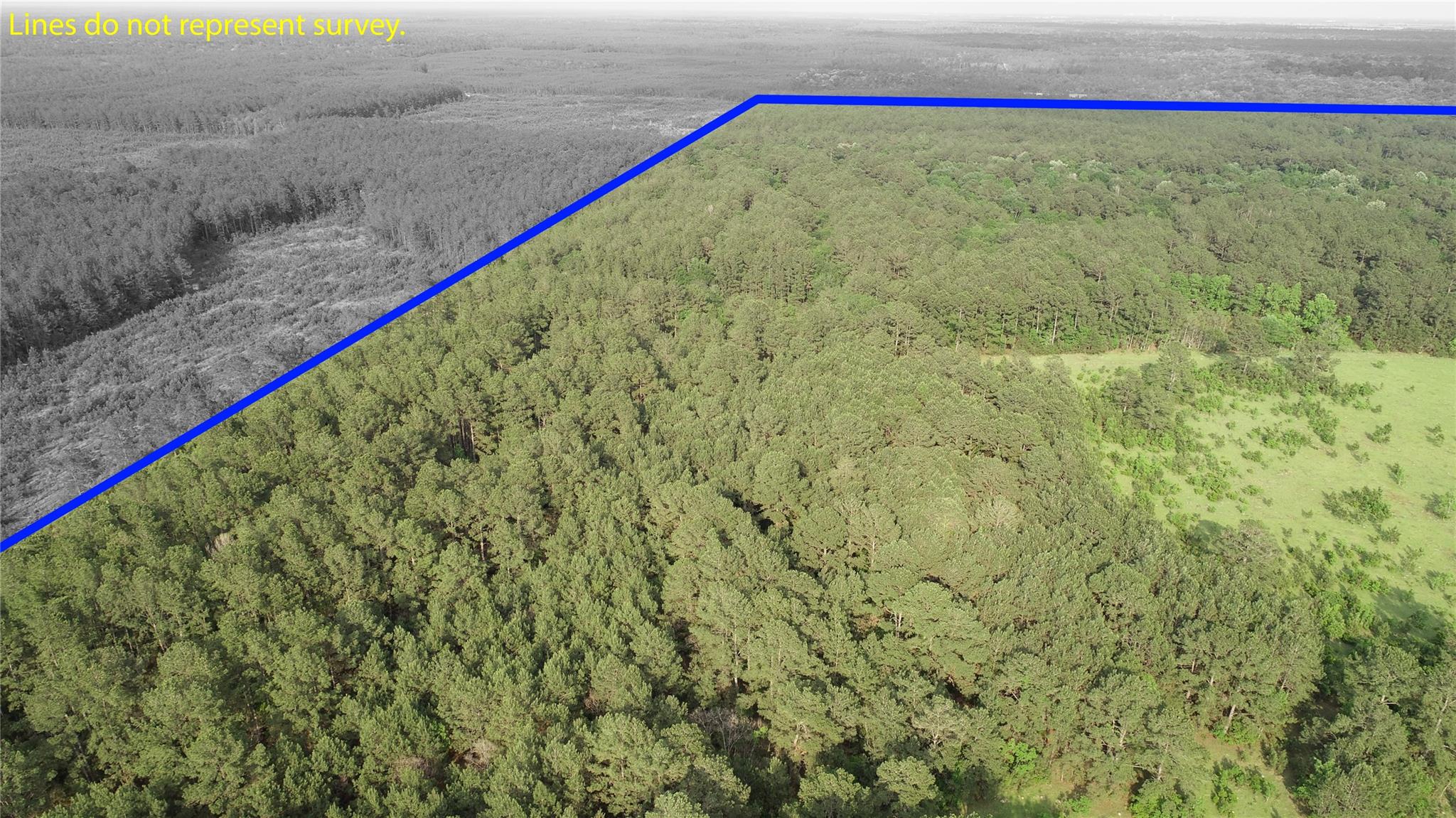 0000 Old Beaumont Road