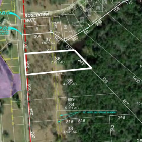 Vacant Land For Sale - LOT 36 Lake Livingston Lane<br/> Trinity, TX 75862