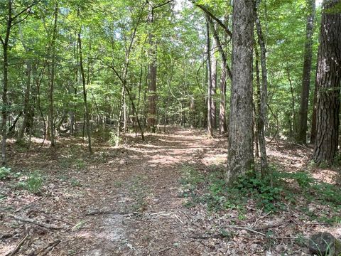 Photo of TBD Upper Leggett Road, Leggett, TX 77350 (MLS # 85175636)