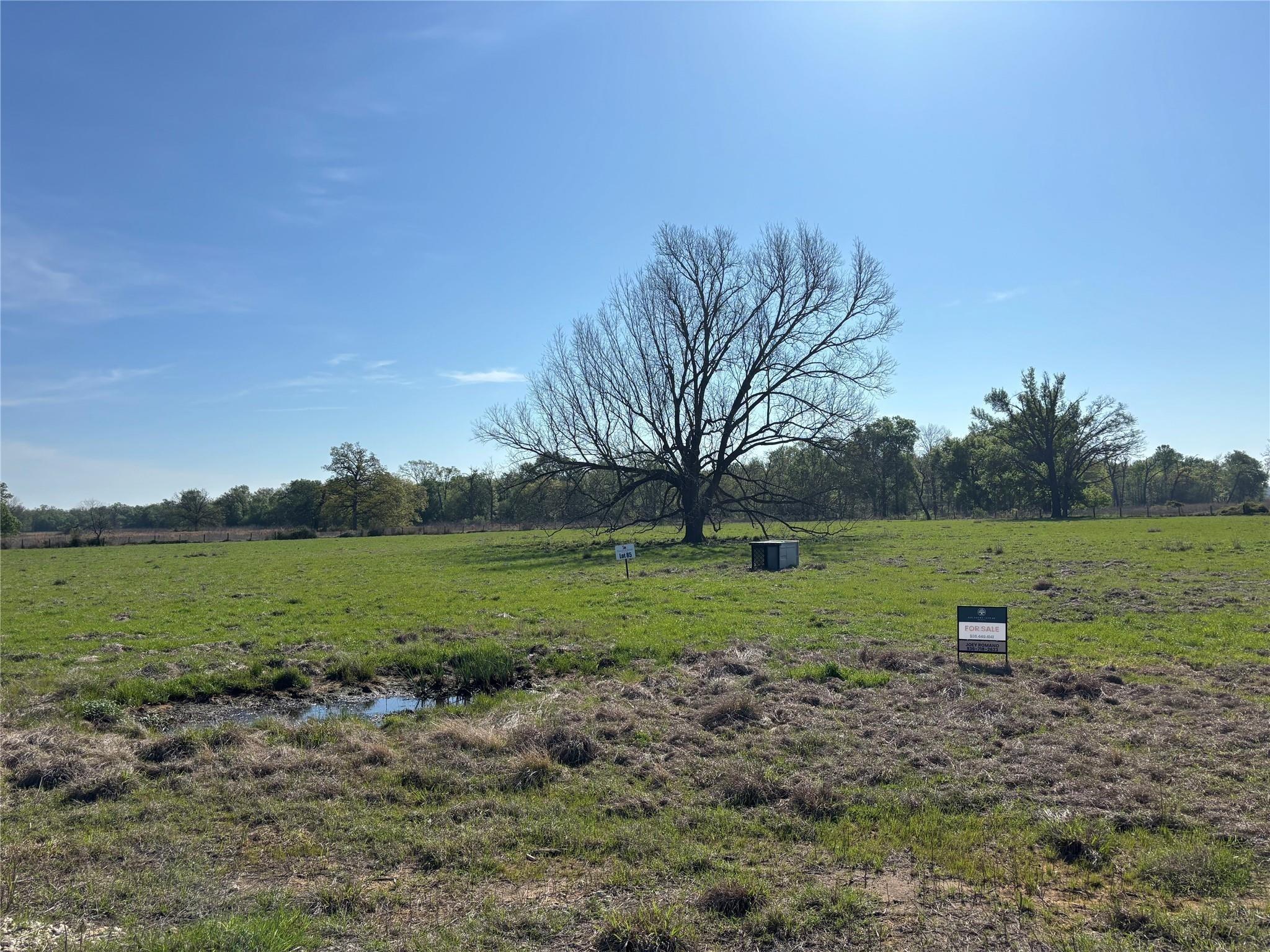 Lot 85 County Road 231