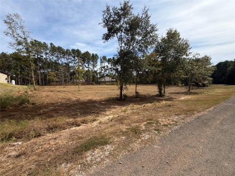 Photo of 595 Eastgate Park, Livingston, TX 77352 (MLS # 76053160)